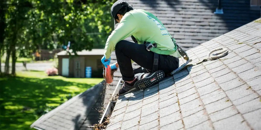 Gutter Cleaning & Maintenance