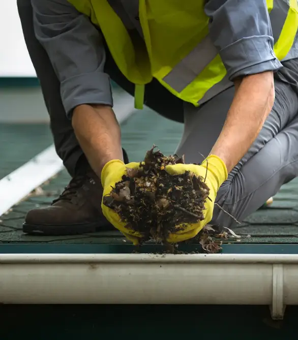 Gutter Cleaning & Maintenance