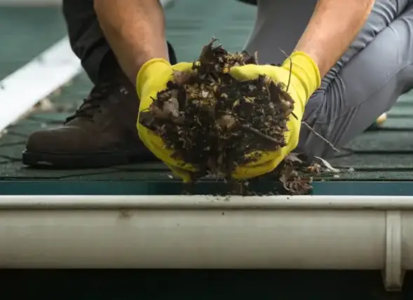 Gutter Cleaning & Maintenance